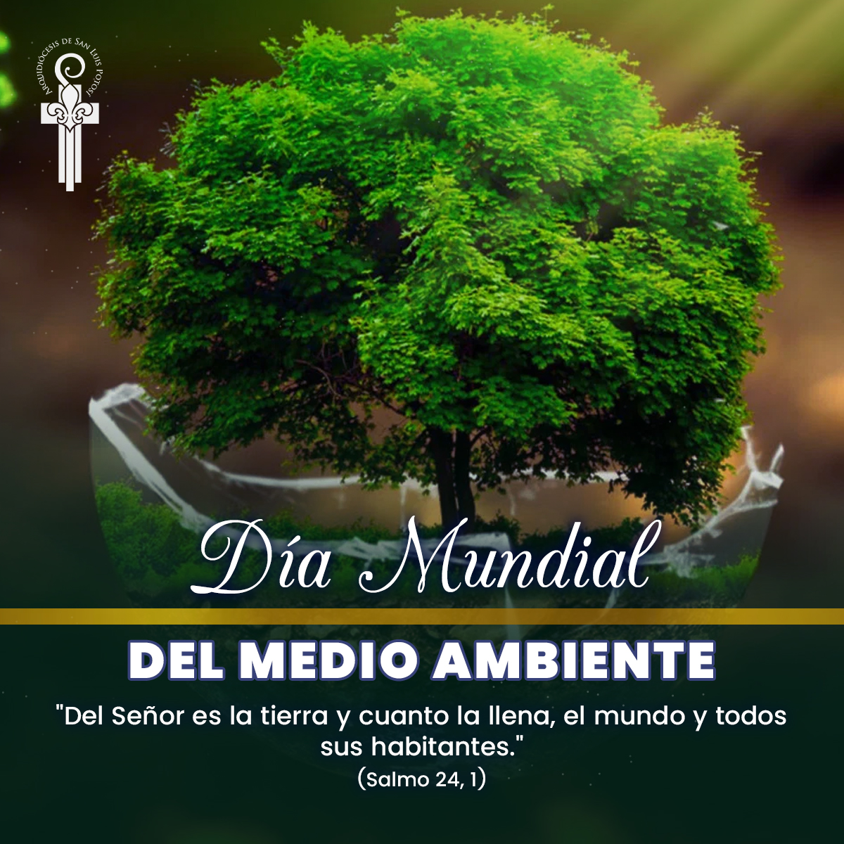 DiocesisSLP's tweet photo. 🍃🌎 Día Mundial del Medio Ambiente

Hoy recordamos que la creación es un regalo de Dios confiado a nuestras manos.

Cuidar la tierra, el agua, los árboles y toda forma de vida es también una expresión de gratitud hacia nuestro Creador. 🙏

#CuidemosLaCreación
#CasaComún https://t.co/VeykdzOIwv