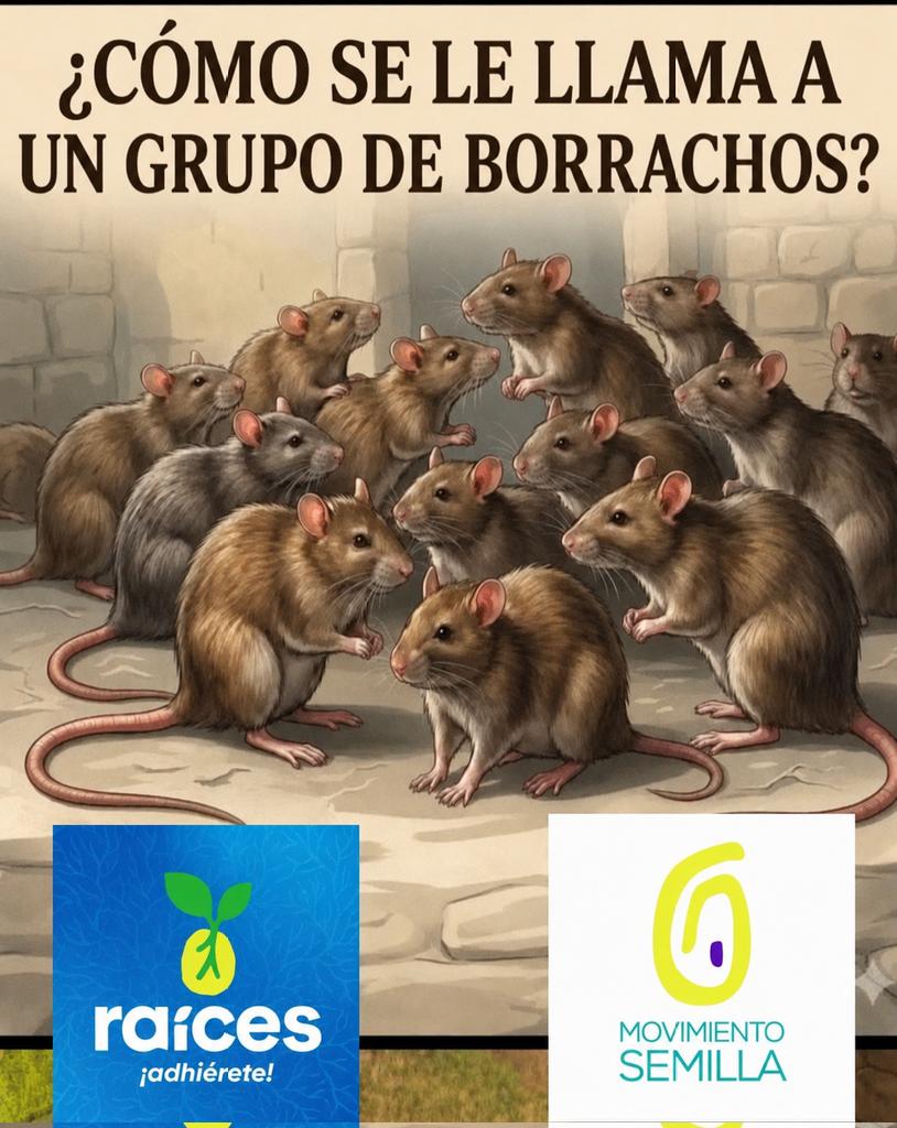 lufelia05's tweet photo. @PrezOrlando Estos son los "líderes" que dicen estar cambiando a Guatemala, finalmente están demostrando que son borrachos con disfraz de diputados, por ahí también está el que paró las patas en la Antigua Guatemala por andar borracho. https://t.co/LP473oegAz