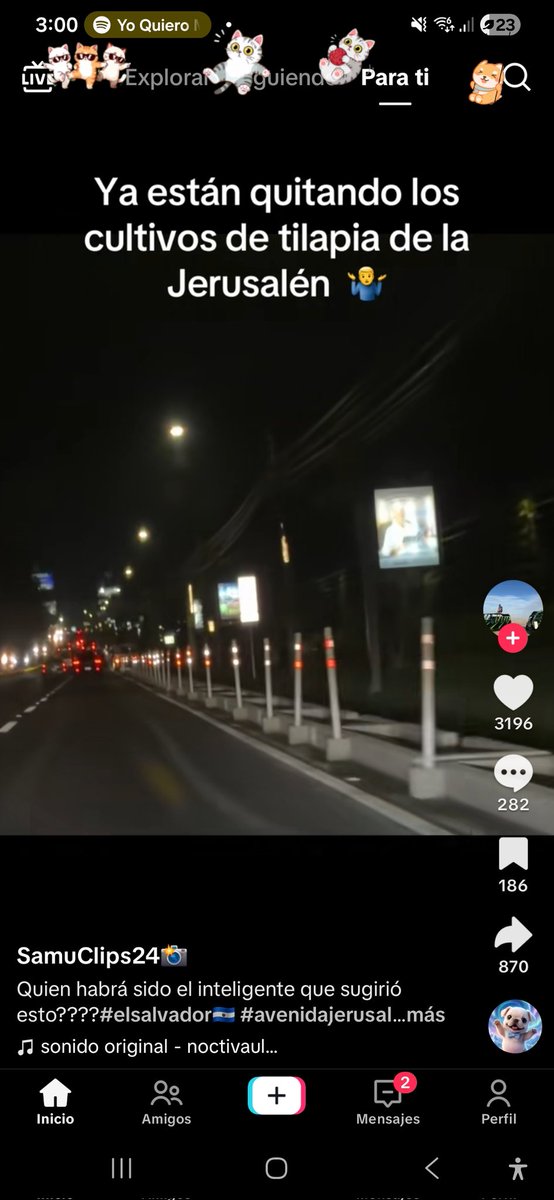 zulitarivas's tweet photo. @prensagrafica Todo ese el cemento tirado a la basura y el tiempo de mano obra que pasaron como tres semanas trabajando ahí hoy si fueron al límite https://t.co/Yy8noQysF8