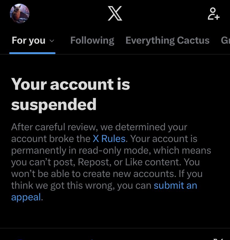SmokinBat's tweet photo. @ShemekaMichelle I put a major foreign bot account on blast and lost my account for almost 2 weeks. https://t.co/BUVdUtZUiI