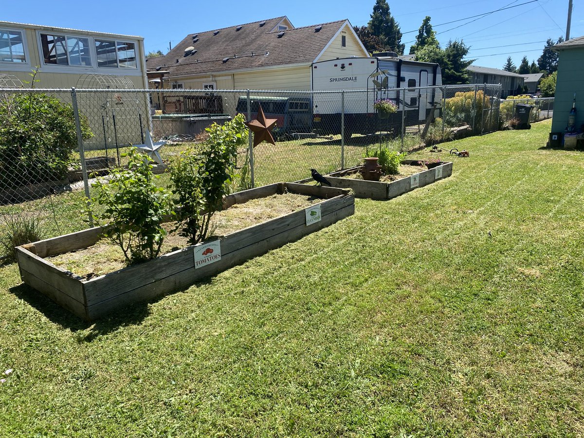 RearTodd's tweet photo. This is how I weed planter boxes. With my weed eater and didn’t I mention I love crows. He or she was my buddy today. It would literally walk with me while I was mowing about 3 feet away. https://t.co/FPWtneiqbA