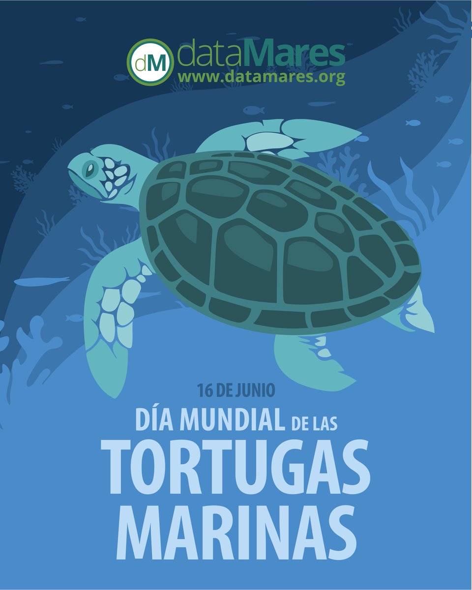 dataMares tweet media