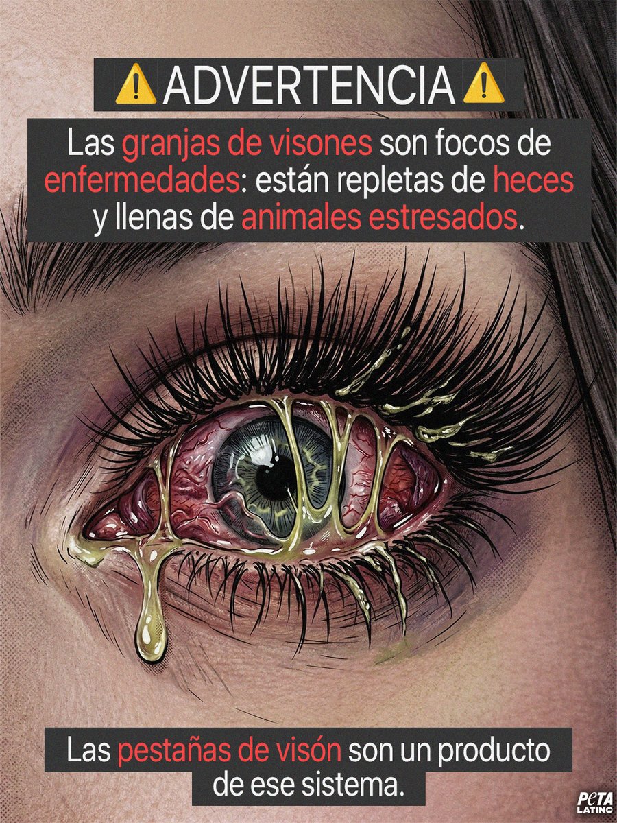 PETA_Latino's tweet photo. Miles de visones viven confinados todos los días en jaulas sucias, privados de todo lo que es natural para ellos, antes de ser asesinados por su pelaje 💔 https://t.co/nkHSoQxvoB