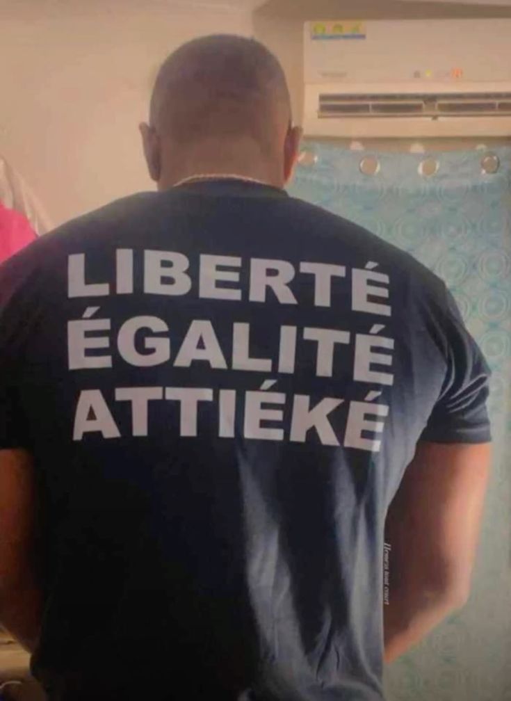 audyb97's tweet photo. Un match sans penalty, sans faute bête, sans coup franc, sans comédie, dans le respect les uns des autres,... Vraiment les deux meilleurs pays au monde 🇫🇷🇨🇮🤍 #FRACIV https://t.co/wOiGPVrq6r