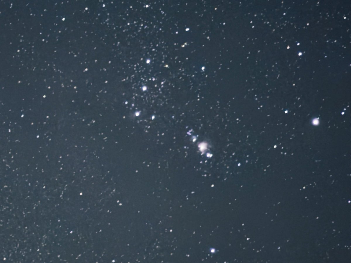 sage_astr's tweet photo. orion https://t.co/EdTyBU9pXi