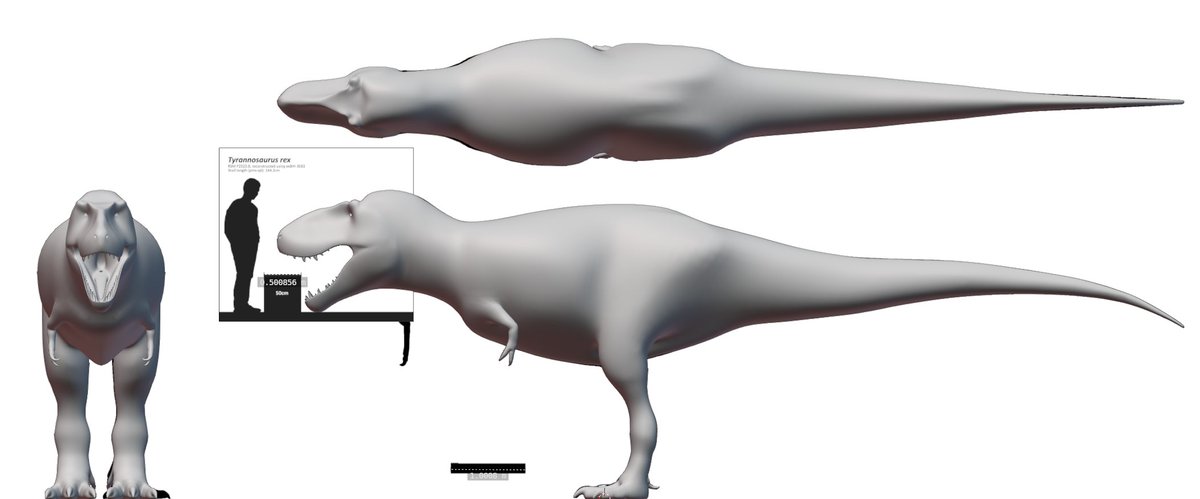 Tyrannosaurus rex [RSM P2523.8, 
