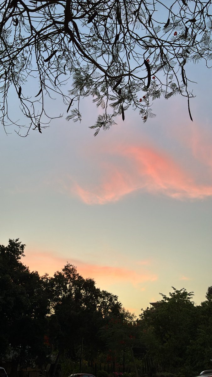 _Awalid's tweet photo. more sunsets https://t.co/gzwW35Hpy3