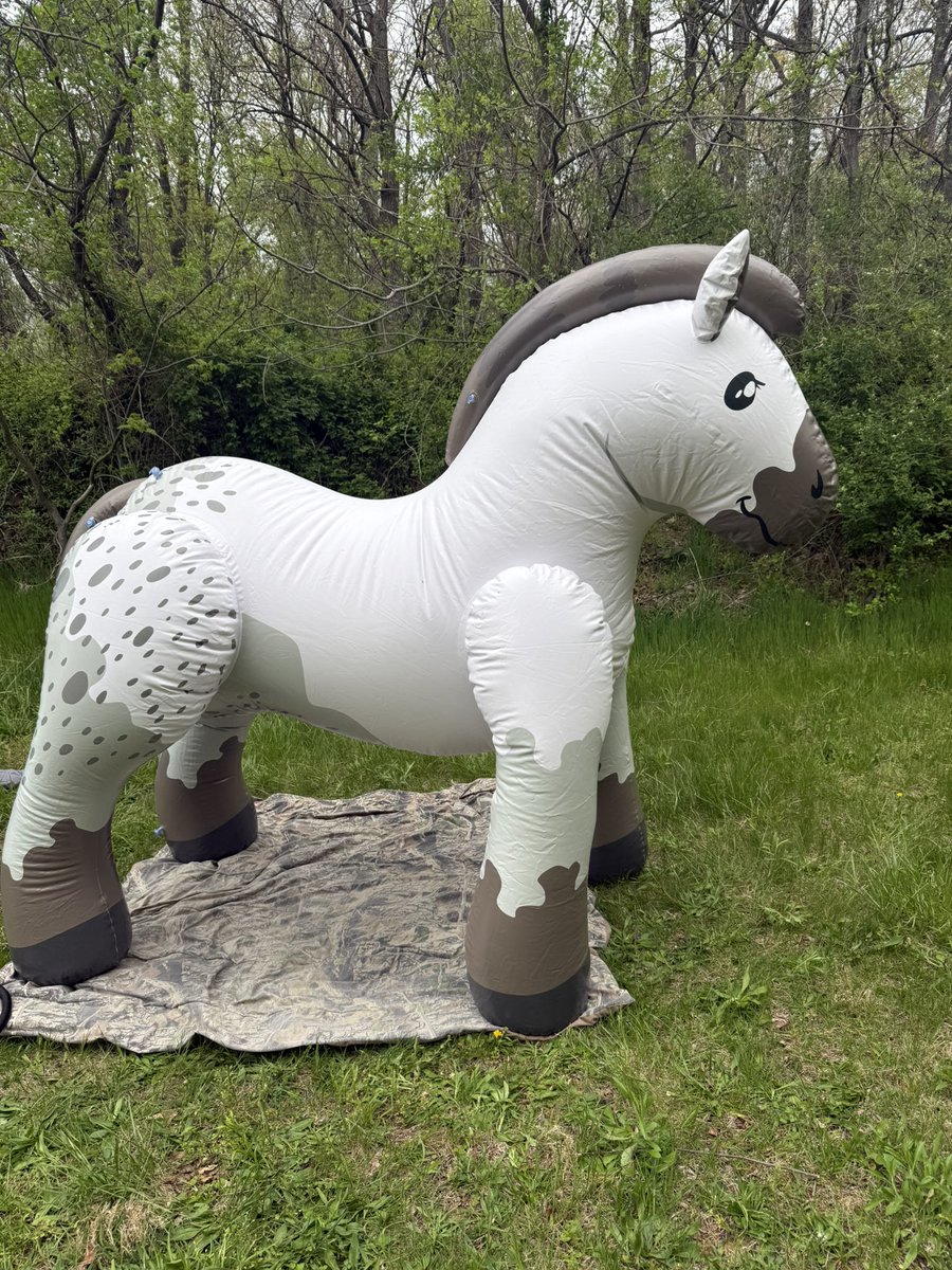 Brodragon27's tweet photo. Selling puffy paws draft Horse https://t.co/xBYvd9WE8Q