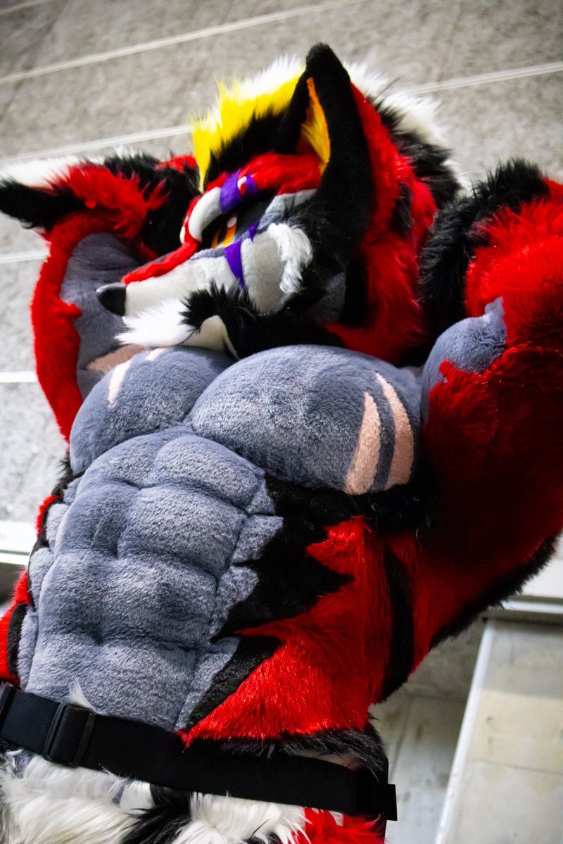 delinick_reon's tweet photo. お腹に板チョコ貼り付けてんのかい！
胸筋チョモランマ！#FursuitFriday https://t.co/d3k5BHKgWD
