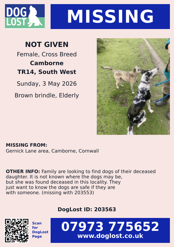 millypod1's tweet photo. π3 MAY 2026 #Lost #ScanMe
1 Lurcher Merle black & white Male
1 Tan /Brindle Elderly Cross Breed Male
Gernick Lane area #Camborne #Cornwall #TR14
https://t.co/wy4eIPAaGS
https://t.co/luOoiSEonn https://t.co/SkPJZsdbHt