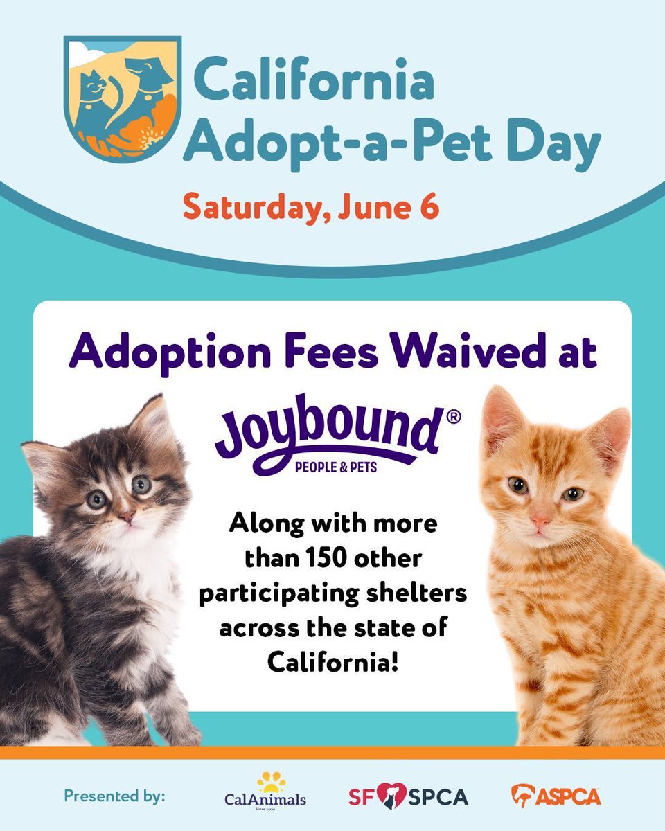 JoyboundTweets's tweet photo. Kitten season is here and Joybound has kittens who are ready for loving homes. Come meet them during this year's nationwide #CAAdoptAPetDay event tomorrow.
(Some exclusions may apply. Standard adoption criteria applies. Does not include ESA adoptions.)
https://t.co/QCTCGQUVVj https://t.co/gi88Ng8bFZ