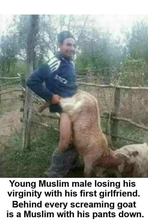 CW_Watchdog's tweet photo. @evija_klapare @HousewifePolish @KonstantinKisin You know what..  if you’re just gonna pretend that up is down and ignore objective reality.  Then there’s no hope for you.

But one thing is for certain…   Muslims are filthy sexual predators.  They use sexual violence.  And when there’s no women around, they rape goats instead. https://t.co/aPiYbNpXG3