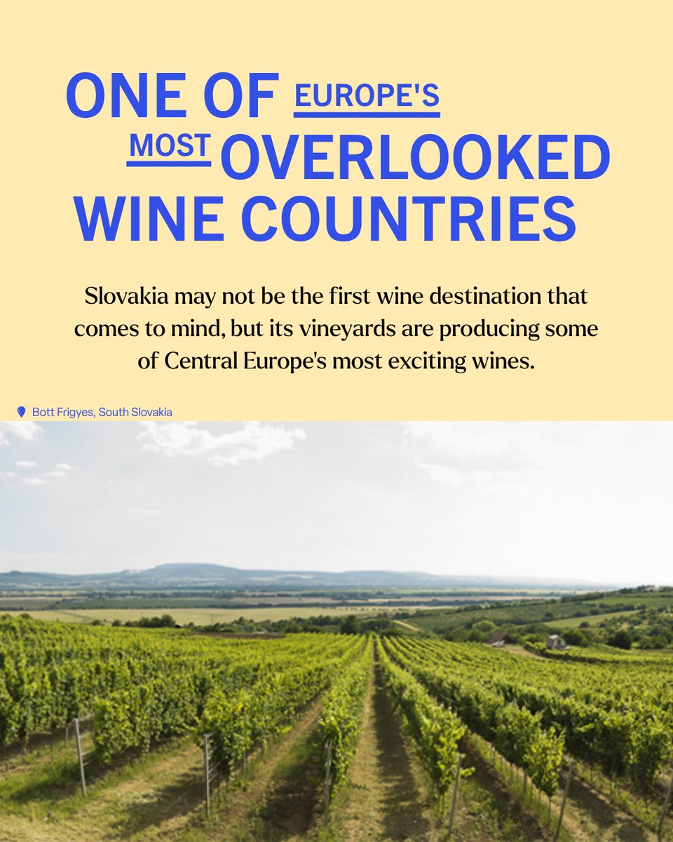 WSETglobal's tweet photo. Join us on 11th June for FREE webinar where you'll experience an immersive introduction into Slovakia's history of wine making and the key influences that define the region, hosted by native Lucia Dovalova.

Sign up: https://t.co/mJ5RozhV1S

#wset #slovakia #globaldrinkseducation https://t.co/o04JYuE8iB