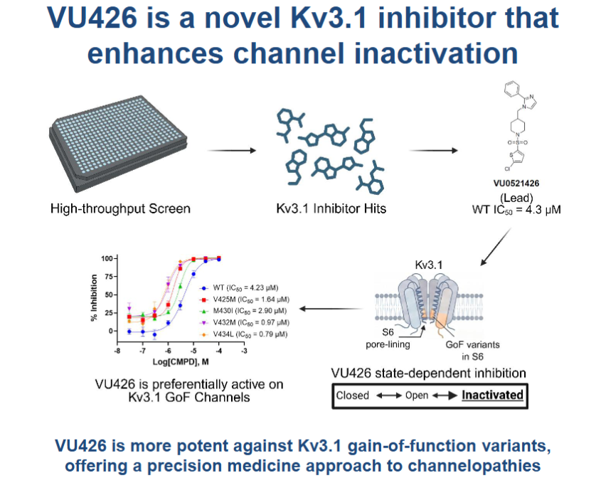 AJPCellPhys's tweet photo. Check out the amazing work in this #ArticleinPress, Discovery of #Kv3.1 channel inhibitors reveals VU0521426 as a state‑dependent inactivator preferentially active against #pathogenic gain‑of‑function mutants (Rahul U. Chandrappa et al. @VanderbiltU):

https://t.co/8fNHNuD5lh https://t.co/94r2tJs3lA