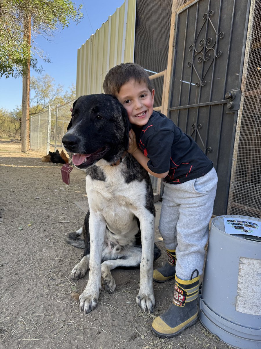 JenniferEvn22's tweet photo. #SaveSnuggles 

Here are the next steps for our family:

-Hopefully find a lawyer to represent me and own the appellate brief I am working

-File appellate brief by June 22

-Prosecutor has 30 days to respond to the appeal

-Court of appeals division II reviews and decides https://t.co/FbWG7SS8kl