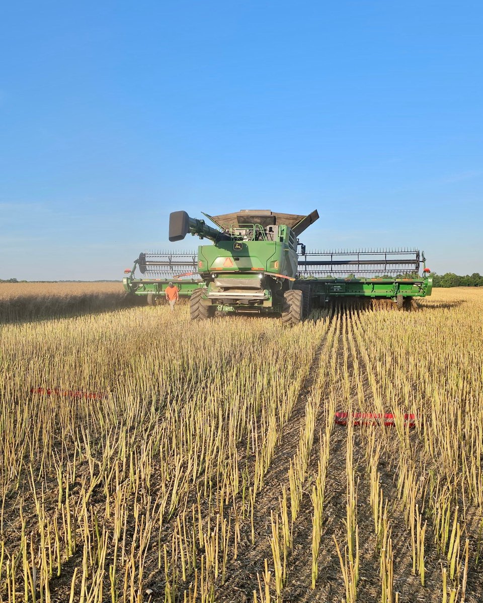 BushelPlus's tweet photo. Finally back where we belong! Hammer down!

Yields for this winter canola crop in Kentucky differ in areas from around 40-90bu/ac due to stress. 

No matter the yield, we plan on getting it all into the bin!

https://t.co/Hemg7IbpxF https://t.co/Z4YgSODMqC