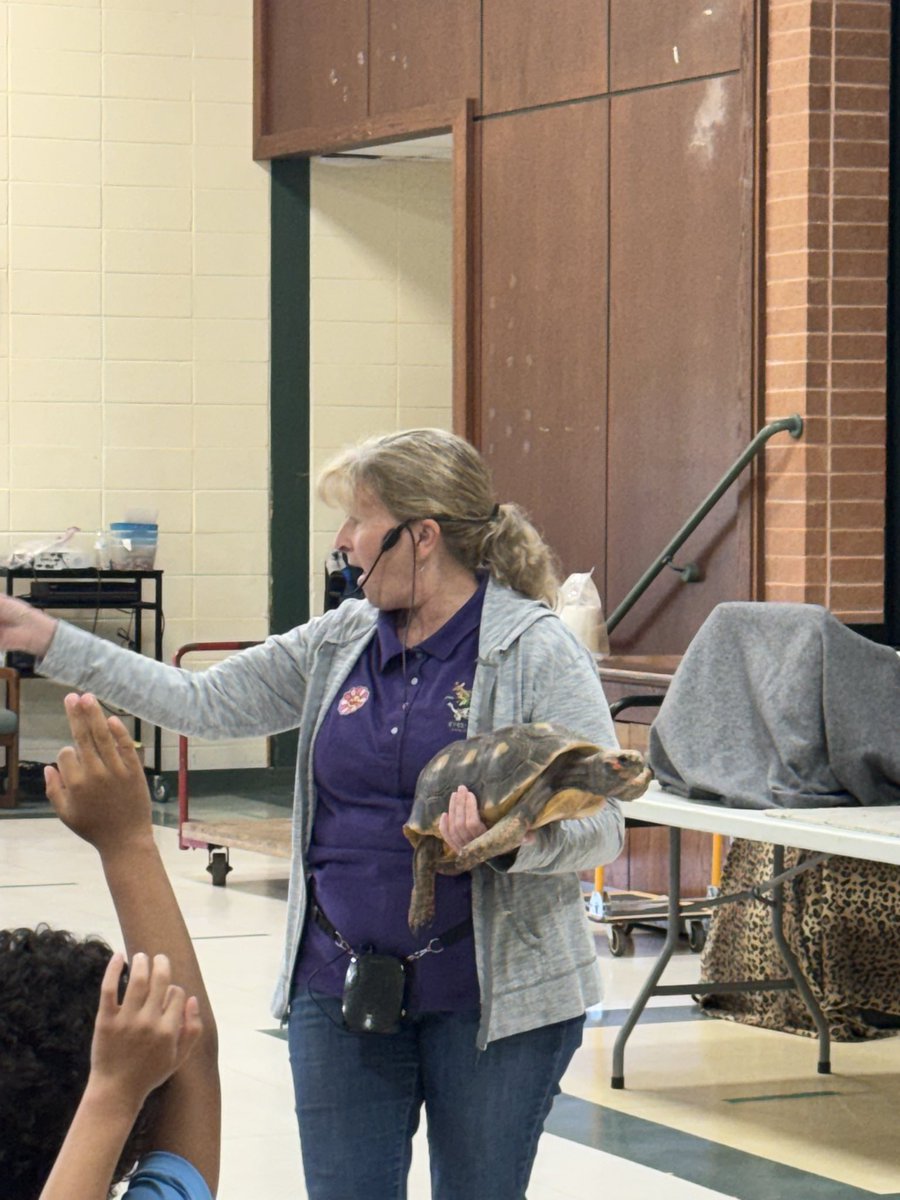 FPS_Buzzter's tweet photo. A huge thank you to Eyes of the Wild for visiting our school today! 🦉🐍🦎 Our students loved meeting the animals and learning all about wildlife. Thank you for providing such a fun and educational experience! 🦔🐍🐢 @VPSikorski_FTPS https://t.co/dGp57Y3tsz