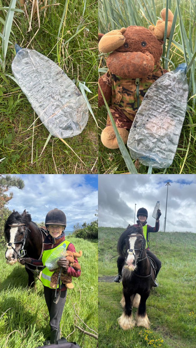 waddells74's tweet photo. On my 🏇 adventures …. #litter it takes 2minutes to #Binit 🗑️ 
Think 🤔 Plastic bottles and cans  trap all our 🐞 🐛 🐜 🐝 🦋 and can be eaten ⚠️ gallop 🏇 off to a Bin 🗑️ 🙏 xxx https://t.co/b72mFMZx05