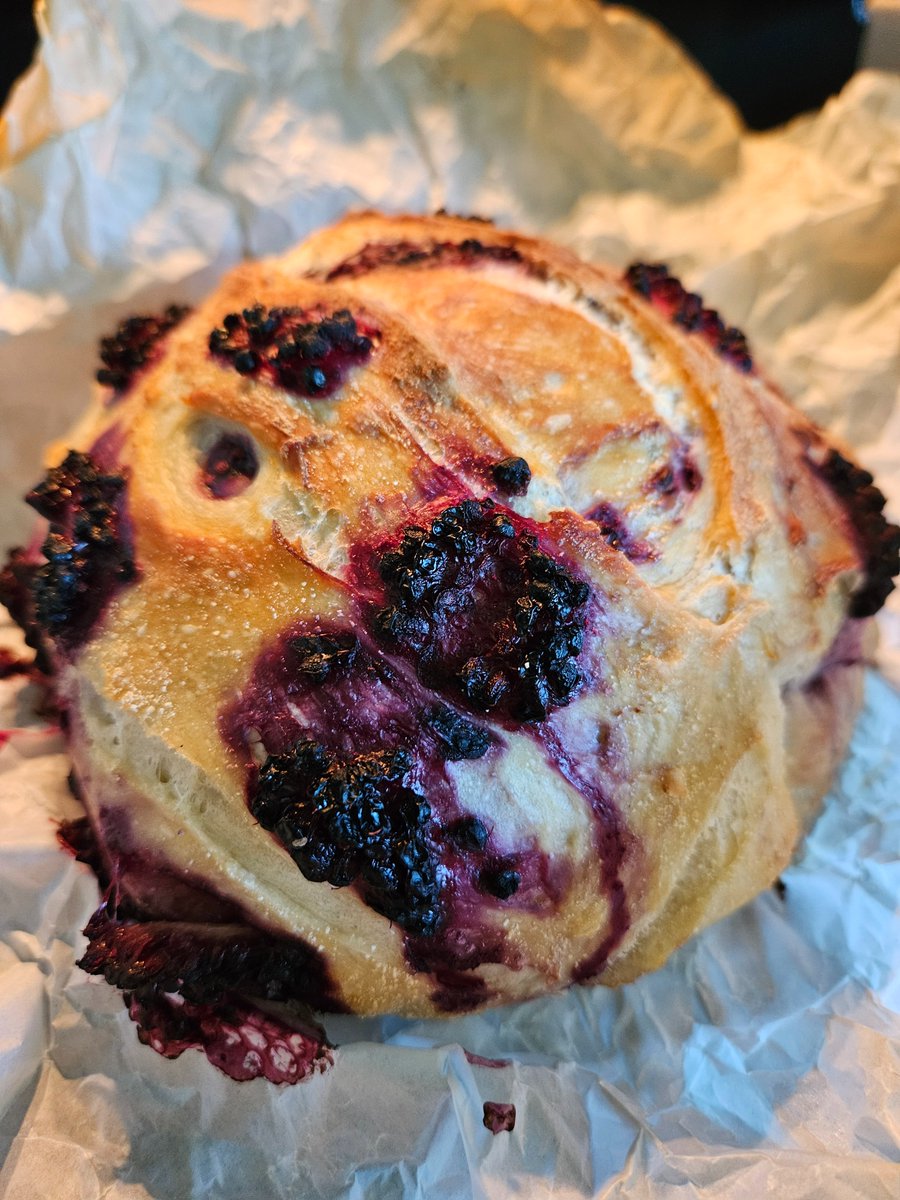 tanialramos's tweet photo. Nurse. Writer. Swinger of a mallet named Darla. Occasionally a #SouthernGothic #baker. Stay tuned for next week's episode of #SouthernGothicKitchen and #storytime for the recipe &amp; story of why Widow Harlow's wildberry bread brings the Ravens calling. #writer #writing #bread https://t.co/jfXpCaEskl