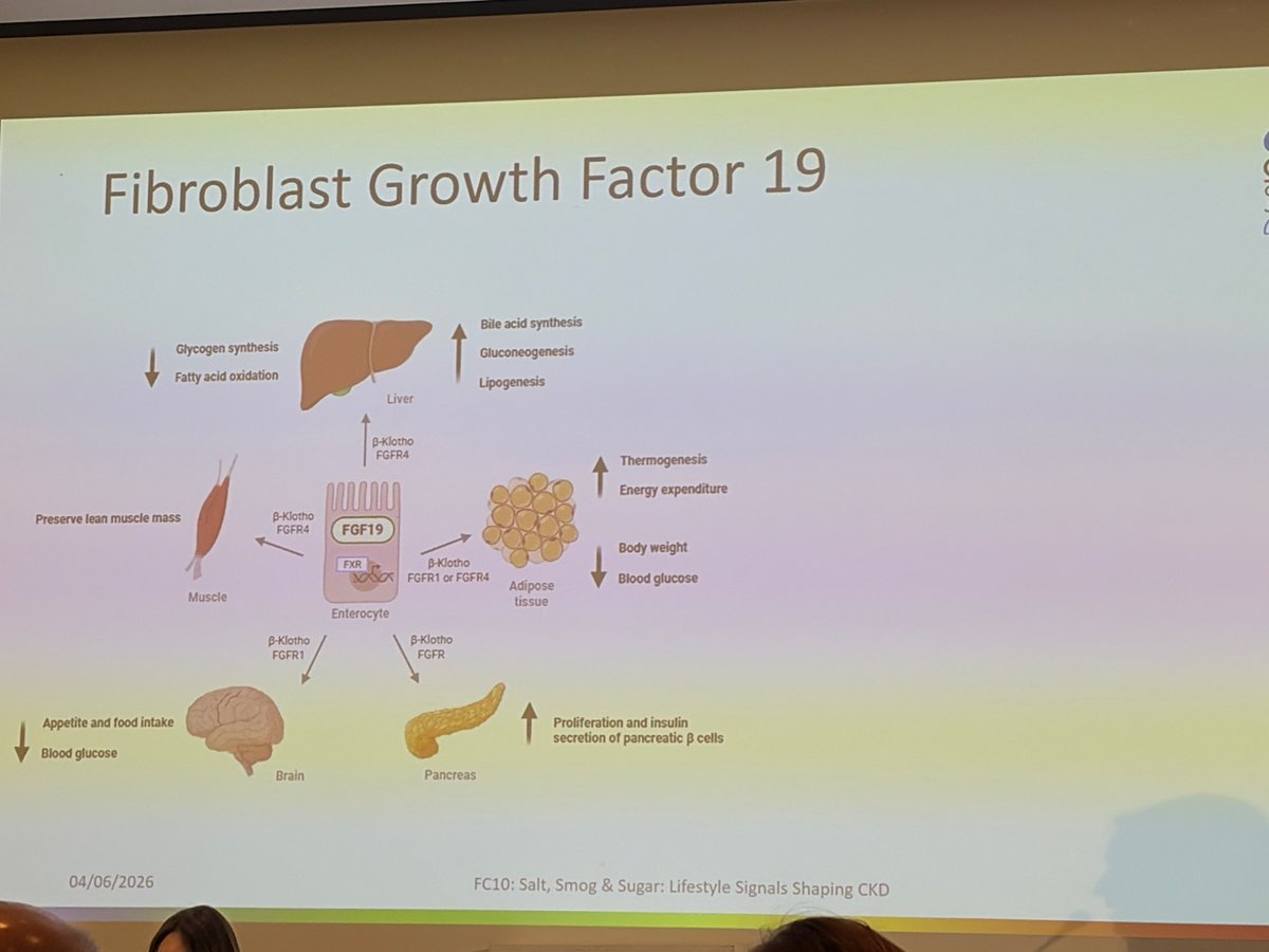 ERAkidney's tweet photo. 5/5
Interplay Between Fibroblast Growth Factor-19, Beta-Klotho, and Receptors Impacts Cardiovascular Risk in Chronic Kidney Disease #BestAbstract
🗣️Laura Gonzalez Rodriguez https://t.co/320zweqUhS