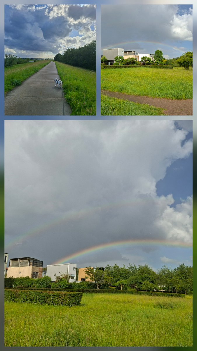 AnnaIke's tweet photo. Twee muitende honden, maar wel een dubbele regenboog gezien. https://t.co/XANUNEu7Yu