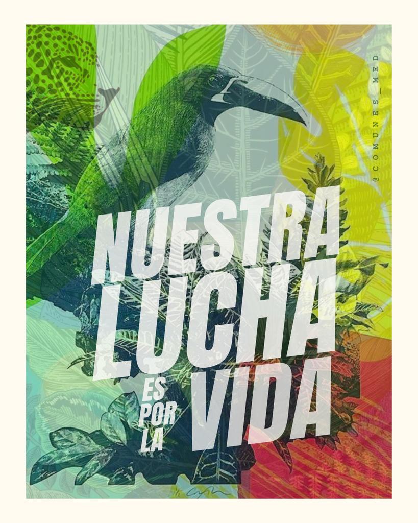 Omar_Comunes's tweet photo. Nos quieren sembrar miedo. Nosotros sembramos esperanza. Este 21 de junio, la nuestra lucha es por la vida. 🌹 @IvanCepedaCast presidente 
#MeLaJuegoPorLaVida #CepedaPresidente #ivancepdapresidente https://t.co/cNQM25rbqo