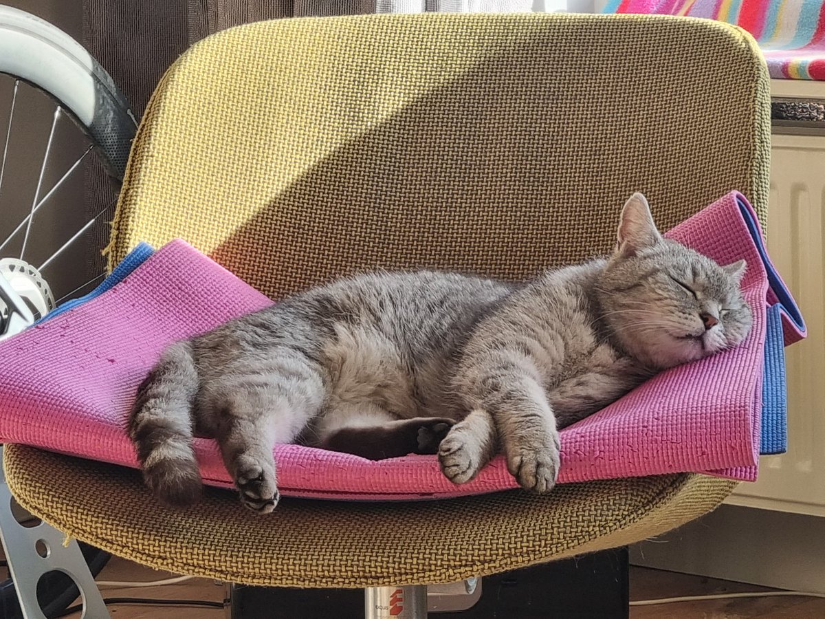 irenejsmit's tweet photo. Heb een nieuw plekje ingepikt https://t.co/gOm5Hl7Il8
