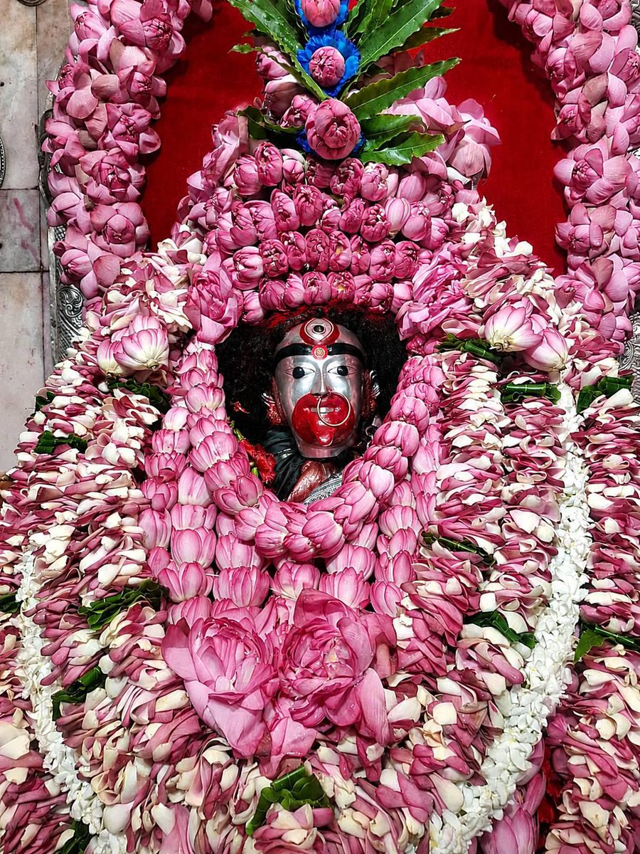 Sword_Of_Kali's tweet photo. Tara
Tara
Tara
🙏 জয় মা তারা 🙏
 🪷 https://t.co/S8N8XBk6Ts