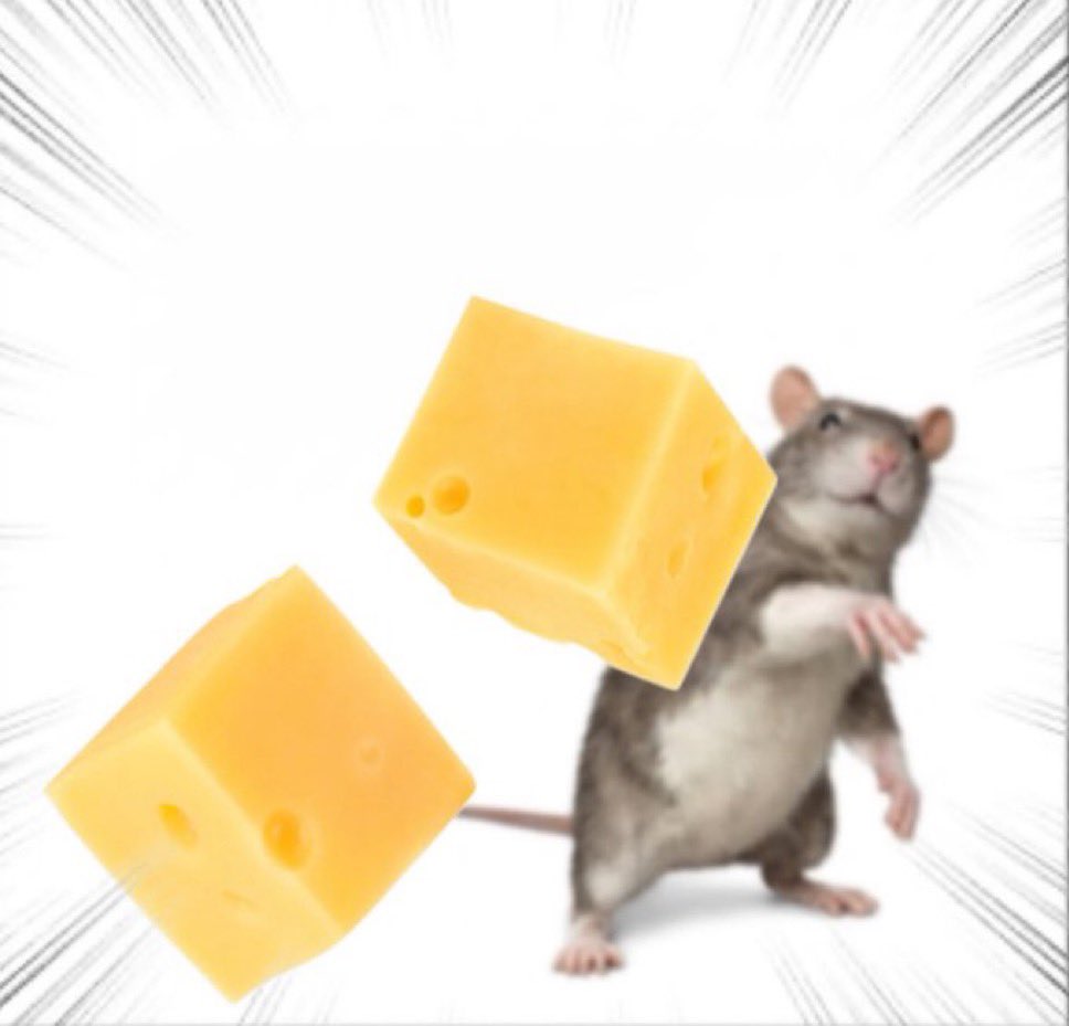 BoneboxEvan's tweet photo. @guppiesz Begone cheese wizard https://t.co/TrGjzWvHQ8