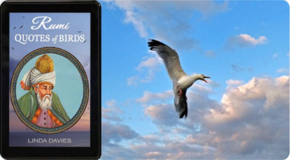 ImagesandQuotes's tweet photo. RUMI: QUOTES of BIRDS ~ 0.99   #KU                      
Rumi's poetry + original photos share love and passion for the sea - Take a relaxing break:
https://t.co/WHGWjoGoqm #Rumi #Love https://t.co/WICgRPs97Y