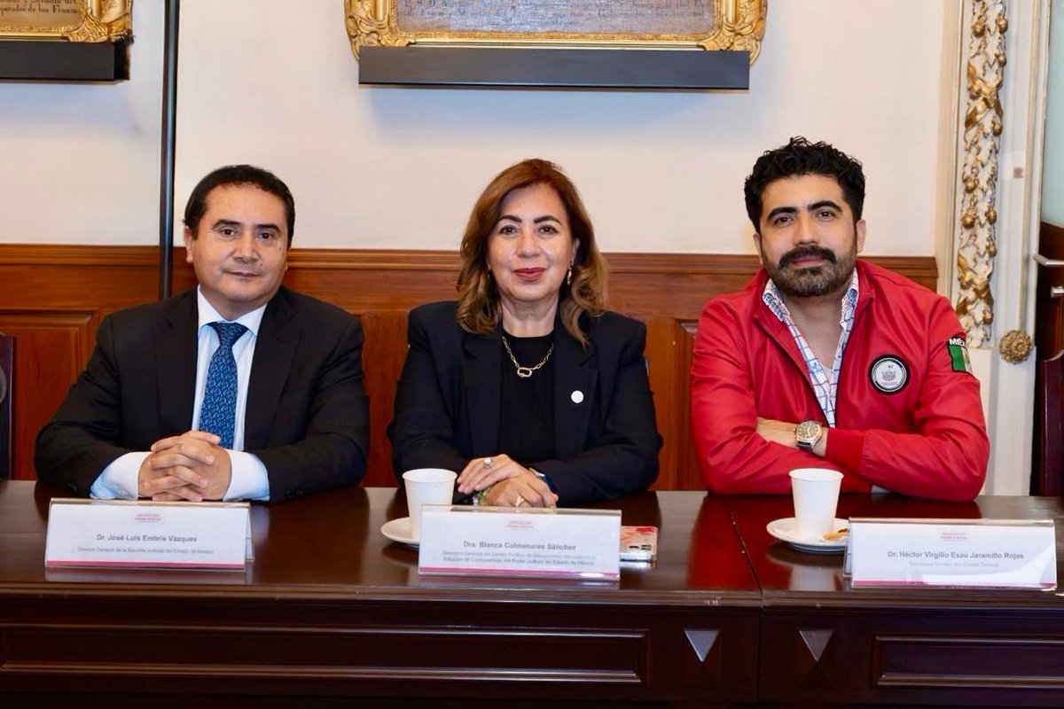 BlancaColSa's tweet photo. Rendí protesta como integrante del Comité de Riesgos, Control Interno y Desempeño Institucional CORICODI para el ejercicio 2026, ante el Magistrado Presidente del Tribunal Superior de Justicia del Edomex Héctor Macedo García. https://t.co/Y0YSxSgmEE