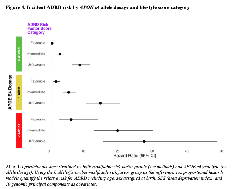 Clayton_Mansel's tweet photo. Interestingly, this was not really true when looking at APOE E4 allele dosage. In individuals with two copies of the E4 allele, even a favorable modifiable risk factor score carried a 5x increased risk for ADRD https://t.co/TqfwxBnoM1