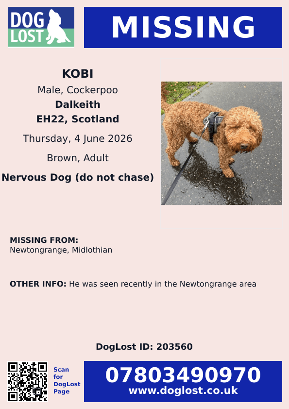 millypod1's tweet photo. 🆘4 JUNE 2026 #Lost Kobi #ScanMe
Cockerpoo Male. Nervous Dog (do not chase)
#Newtongrange #Midlothian #EH22
County #Dalkeith #Scotland
He was seen recently in the Newtongrange area
https://t.co/LbPFUM38eL https://t.co/JKFvxEYXTk