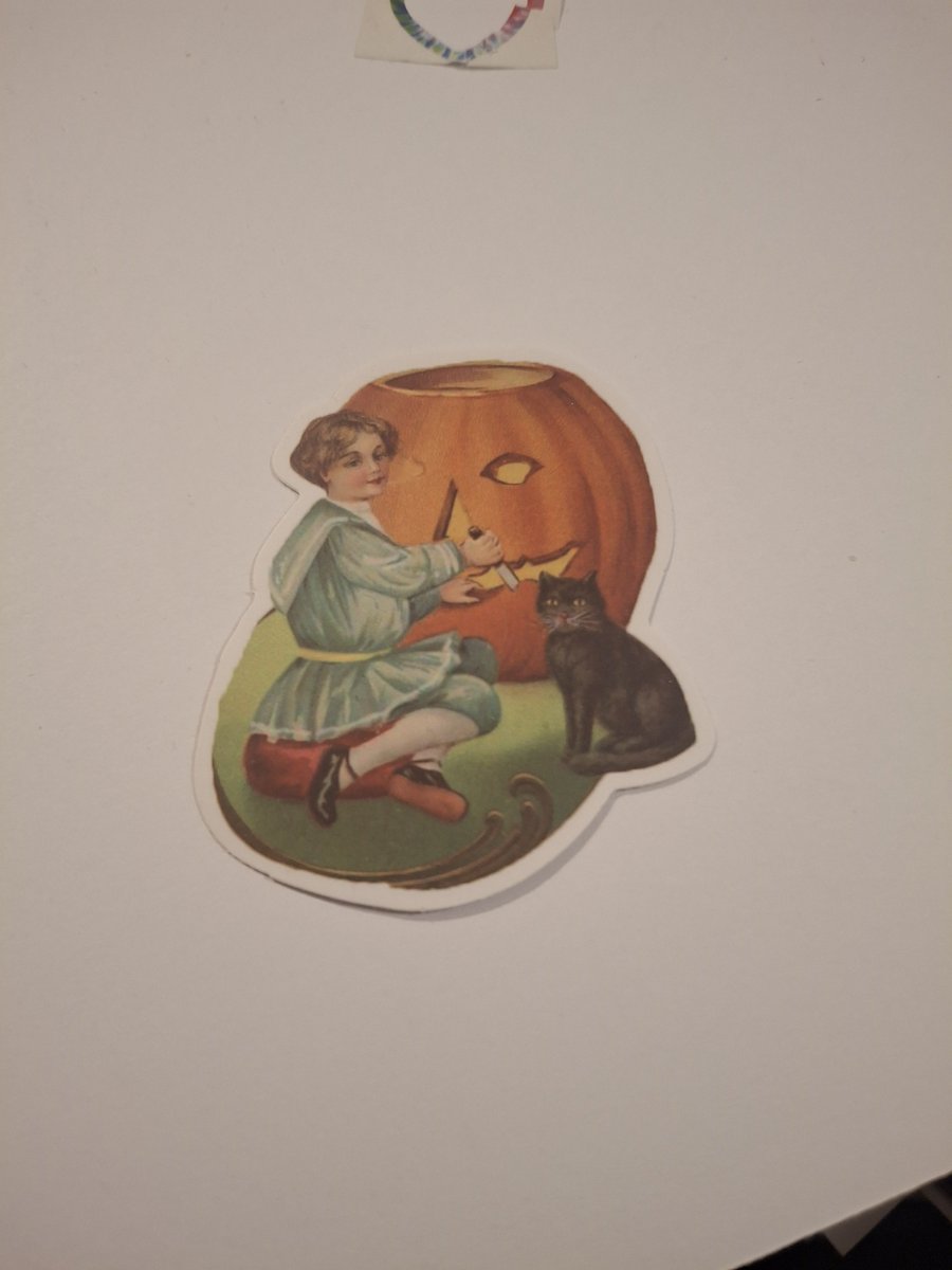 dtmp2018's tweet photo. #Halloween2026 https://t.co/NHxBSbUVeX
