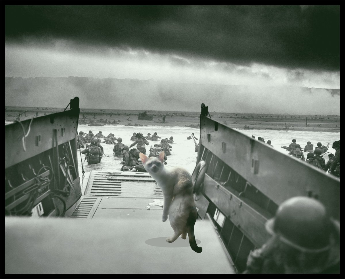 ChamberExtasis's tweet photo. @Clarion_AE At this rate you'll release the updates right on time for the 82nd anniversary of the Normandy landings (June 6, 1944). https://t.co/HcmNpr3iOI