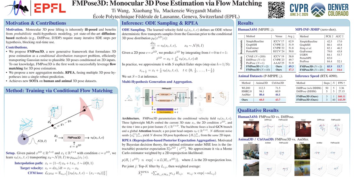 TiwangCS's tweet photo. Interested in how we estimate 3D poses for humans and animals using flow matching?

Come check out our work, #FMPose3D, at CVPR 2026!

Today at the CV4Animals Workshop poster session:
11:30 a.m.–12:30 p.m., ExHall A
Looking forward to seeing you there! 😀 https://t.co/8e41do5dYE