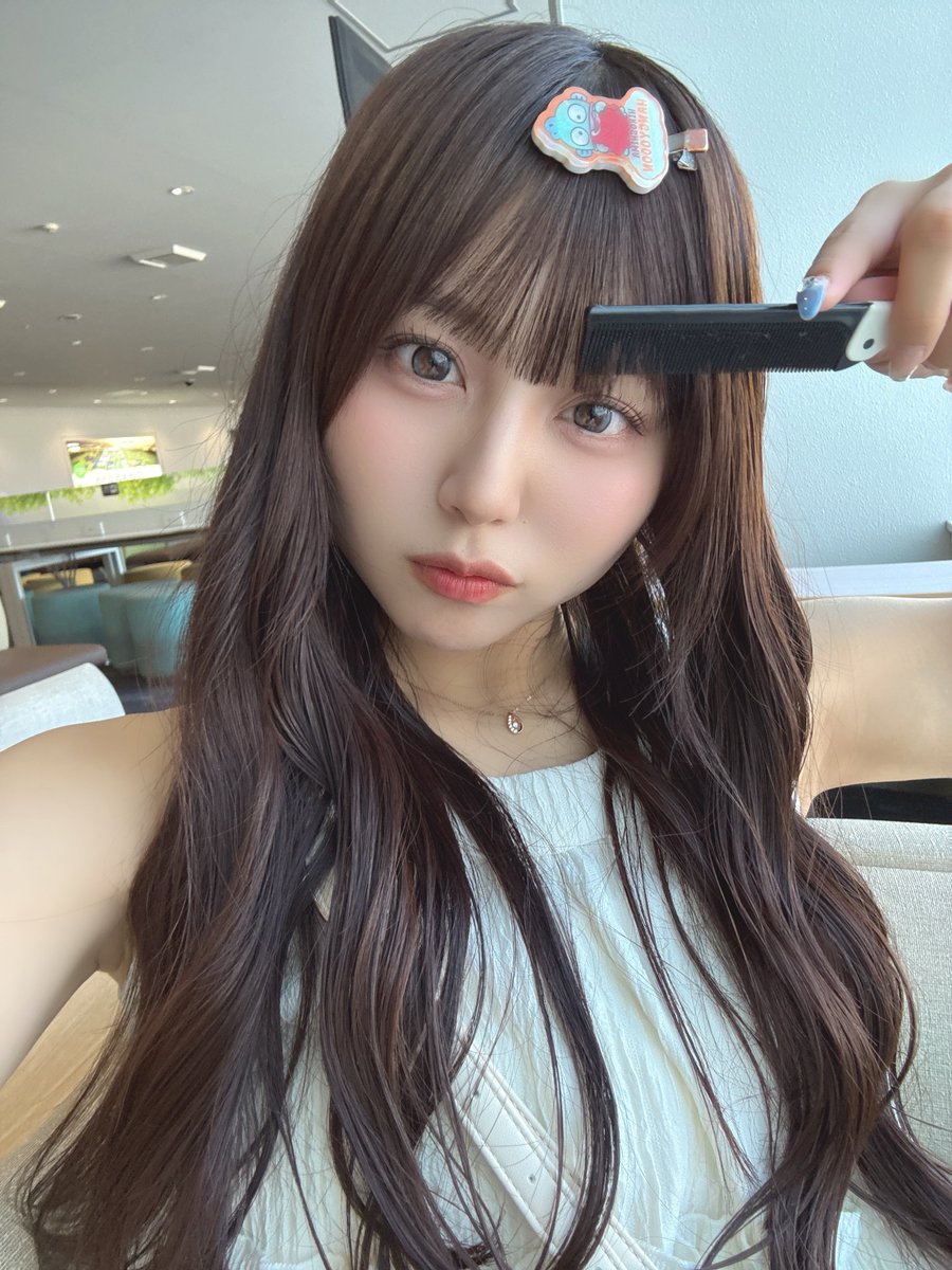Post by みっちゃん on X: こんにちは
