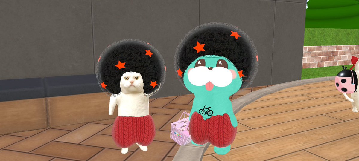noooCAT's tweet photo. @p_sinon_p こちらこそご購入もお写真もありがとうございますー！🙌 https://t.co/dSiuMKsr8f