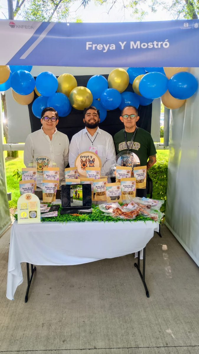 UASLPFCA's tweet photo. ¡Todo el éxito para Gianfranco Ojeda y Ysmael Villegas! 🎉 Ellos representan a nuestra Facultad con el proyecto "Freya y Mostró" en la XX° edición de la Expo Regional Emprendedora ANFECA Zona 3, en la etapa de evaluación de stand y prototipo. ¡Con todo! https://t.co/RrS9Io3Cin