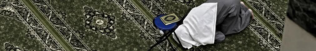 هَيْثَم. tweet media