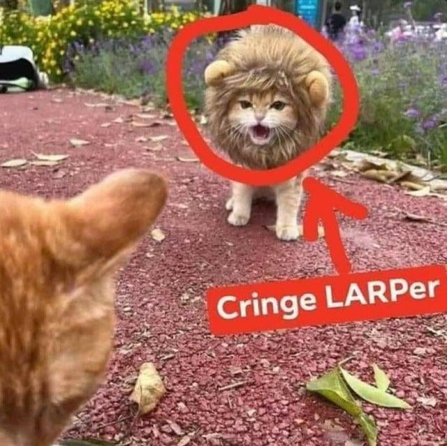 WChedd38871's tweet photo. @EndymionYT The worthy thing is marvel dingus https://t.co/0TB6gvacUE