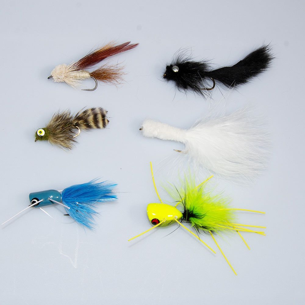 Murraysflyshop's tweet photo. June smallmouth season is on 🔥 Our June Bass Fly Special has everything you need — Madtoms, Sculpins, Poppers &amp; Chuggers. 6 proven patterns, one great price. 
https://t.co/wnxFWOlS39 https://t.co/xHWr1wzHWL