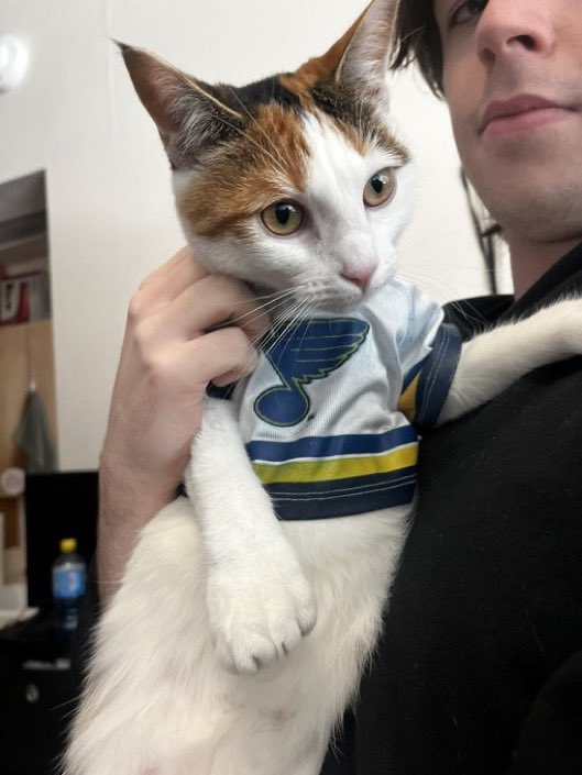 mashedparaykos's tweet photo. @simplydobest miss maam would 100% be on the blues 

@StLouisBlues https://t.co/uMOCBz91dc