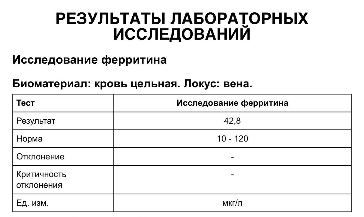 котяпёсья феечка tweet media