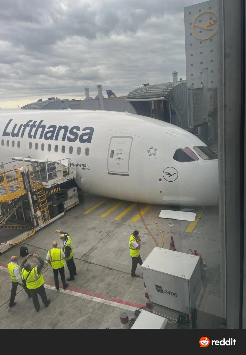 mt_aertec's tweet photo. Se ha acostado para la siesta. https://t.co/9GUCyu1yEI