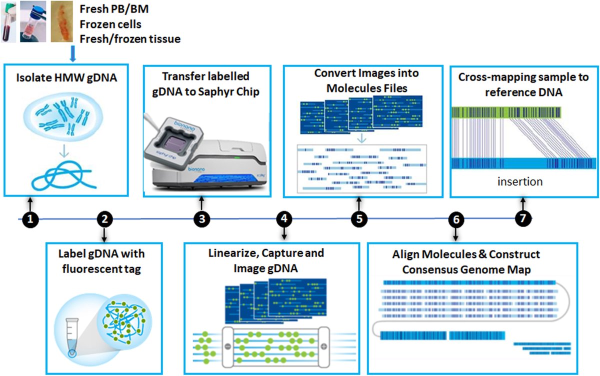 Human_Pathology's tweet photo. New in #HumPathol: Optical Genome Mapping in Myeloid Neoplasms. https://t.co/1YqmhXyEuP #pathology #PathTwitter #PathX #hemepath https://t.co/aAJpa1uc8N