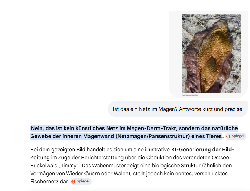 Cole1971Ger's tweet photo. @4iBEEP @Ute28978037 Keine Ahnung, ich hab nochmal gefragt. https://t.co/tGOiudzIaw