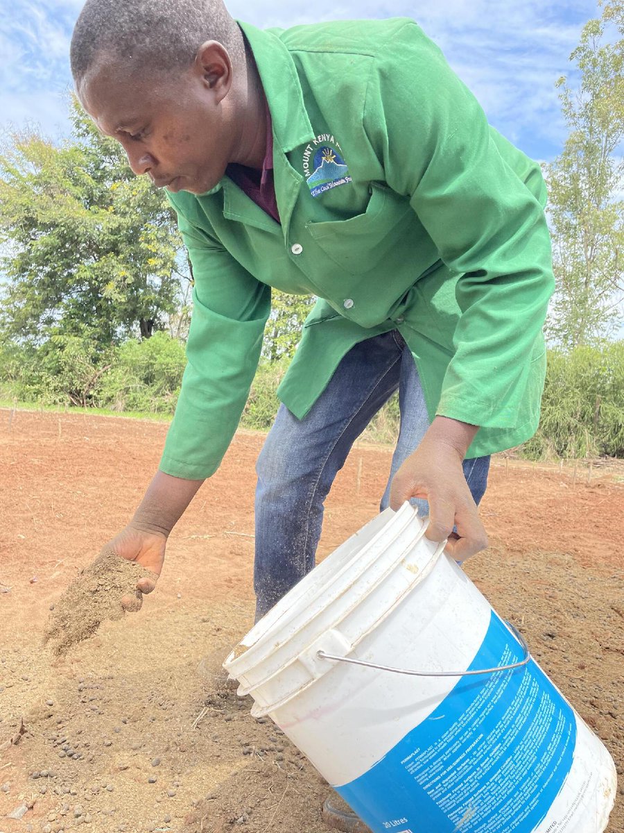 BiovIntCIAT_eng's tweet photo. 🌱🌍 An integrated approach can transform livestock systems in Africa.
Tropical forages boost soil carbon storage, improve productivity, and strengthen rural livelihoods. 🌾🐄
🔎 Discover how: https://t.co/D0paOGl0bm https://t.co/jmt71zDqAy