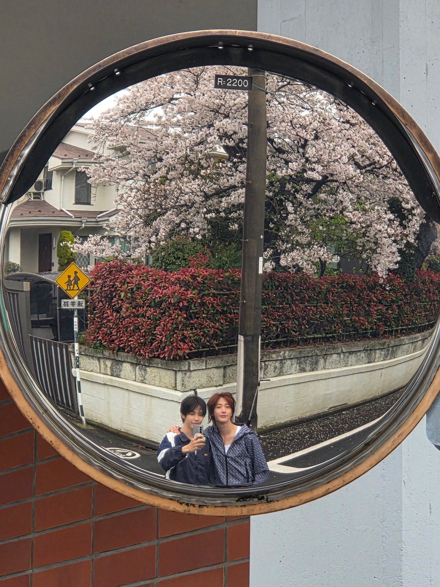 acidtest_33's tweet photo. 일주일에 하루는 둘만의 시간 보내기로 약속해서 그날만은 종일 데이트 하는 앤숕
커피 한잔씩 산 뒤 남은 손은 겹쳐잡고서 천천히 주위를 둘러보며 걷고 입학 시즌이라 벙벙한 교복 입은 학생들 보며 어린 시절 이야기도 나누고 벚꽃 구경 도중 떨어진 꽃을 귀에도 꽂아주고... 그런 연애 할 거 같음 https://t.co/U0WEaD7y0L