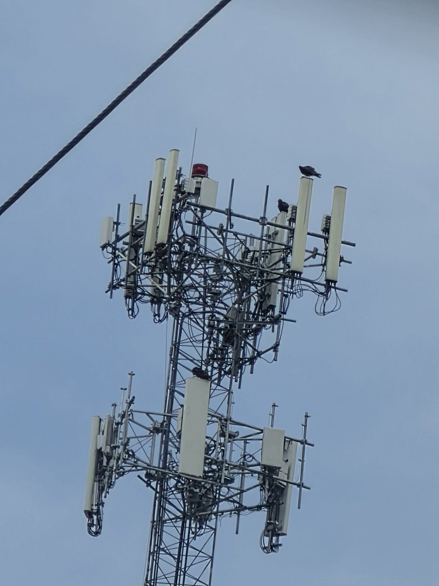 Crowsnestbb's tweet photo. Found the tower!! T-Mobile absolutely screaming and with a backup generator!! @DustyRaging @SneedTech @CyprioniTech @Flyordie209 @holman1124 @jakepimental99 @Terrell352 @Techlife32 https://t.co/ImV01xu7mQ